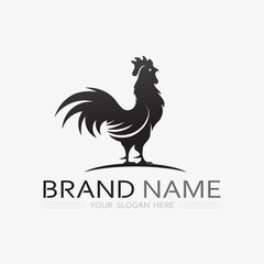 Fototapeta na wymiar chicken logo rooster and hen logo for poultry farming animal logo vector illustration design
