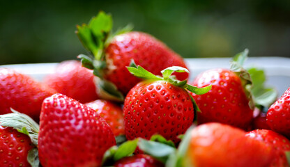 Many strawberries in a basket