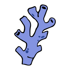 hand drawn coral element