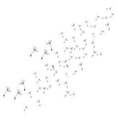 Dandelion Logo, Vector Plant Dandelion flower, Design Icon Template