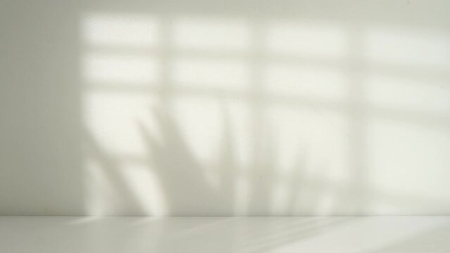 empty room with window shadow