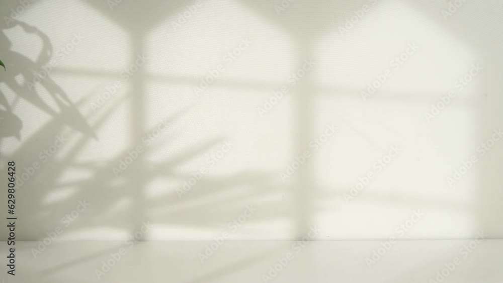 Poster empty white room with window and leaf shadow