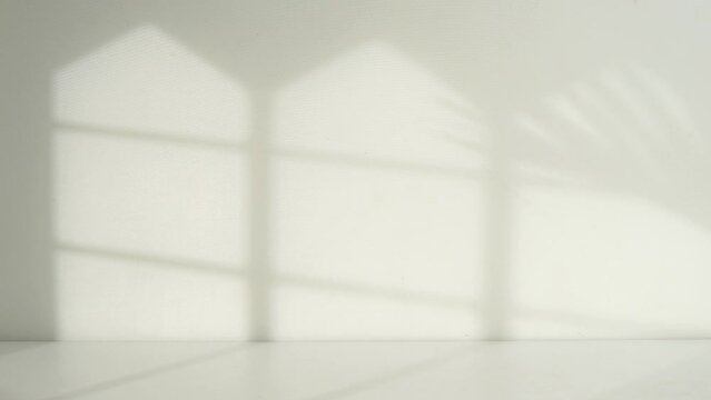 empty room with walls and window shadow