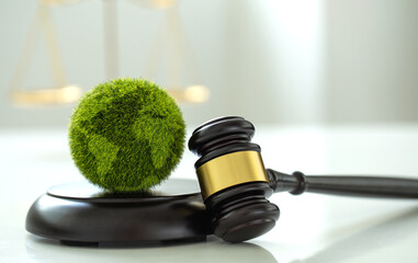 International Law and Environment Law. Green World and gavel with scales of justice. law for global...