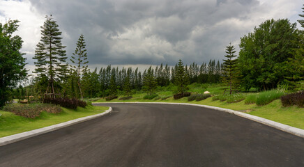 Landscape of curve asphalt road to the mountain in a nature between big tree on the  hill, green grass lawn, shrub and trees, under cloudy sky