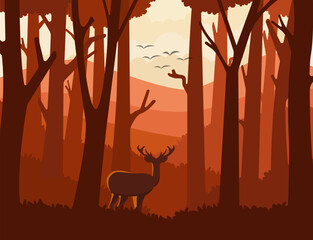 forest in autumn with natural landscape for vector background
