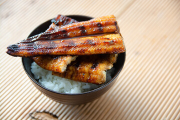 アナゴ　あなご　穴子　conger eel　sushi japanesefood　Conger myriaster 