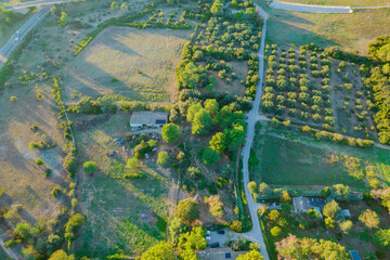 Guarrigue de lunel