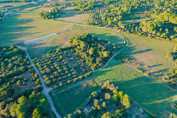 Guarrigue de lunel