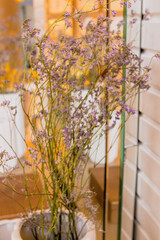 Plantas e flores decorativas 