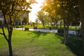 Golden sunset in the park