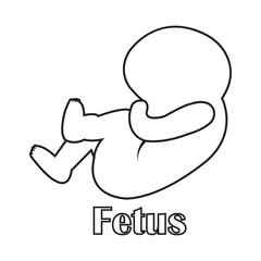 fetus icon