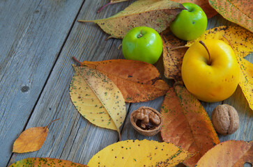 Naklejka na ściany i meble Autumn leaves, apples and walnuts. Rustic food. Homeliness. Autumn background with leaves, fruits and an old wooden table.