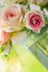 pink rose flowers on beautiful blur background. Pink roses bouquet in a garden