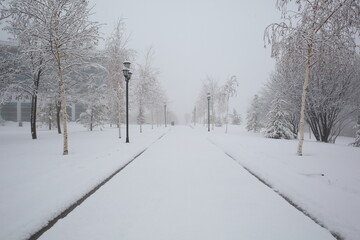 Park covered with snow in winter. Snow covered trees, roads and rustic lights