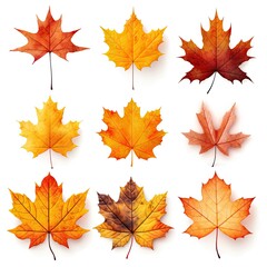 Autumn dry leaves isolated on white background. Generative AI illustration