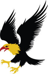 eagle vector illustration with colours