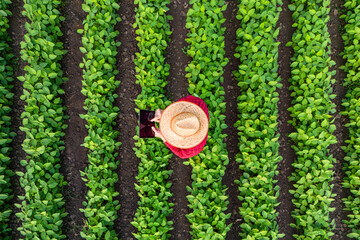 Top view of farmer standing in the field, holding remote controller and flying agricultural drone...