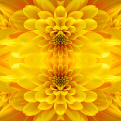 abstract background of flower pattern of a kaleidoscope. yellow floral background fractal mandala. geometrical ornament floral pattern with yellow flowers