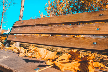 Empty bench with fallen leaves in autumn