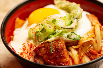 Grilled pork with scallion and egg rice bowl