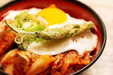 Grilled pork with scallion and egg rice bowl