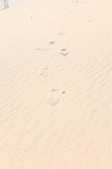 footprint in the sand
