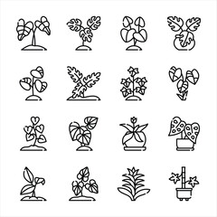 Set of plant line art vector