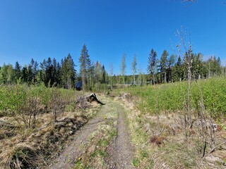 hiking in the mountains