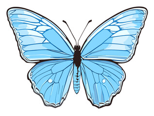 Single blue isolated Butterfly morpho illustration on a white background (Generative AI)