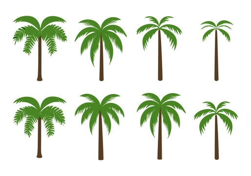 Palm tree vector set isolated on white background