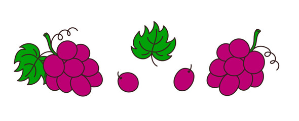Set of hand-drawn grapes on a transparent background. Isolated vector illustration of juicy fruit