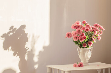 pink chrysanthemums in white vase on white interior