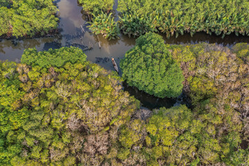 Naklejka premium Ru Cha mangroves, Thua Thien Hue, Vietnam