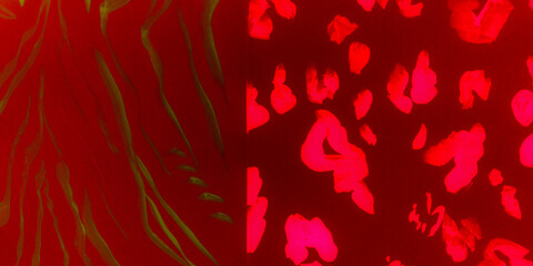 Bordo Zebra Card. Blood Leather Cow. Cheetah