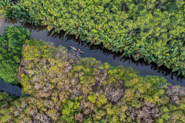 Ru Cha mangroves, Thua Thien Hue, Vietnam