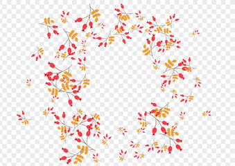 Pink Foliage Background Transparent Vector. Leaf Abstract Template. Green Berries Decorative. Seamless Frame. Herb Forest.