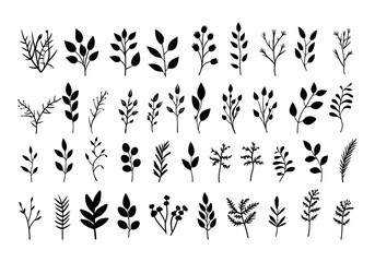 Obraz na płótnie Canvas Big collection of hand drawn herbs. Vector illustration isolated on white background