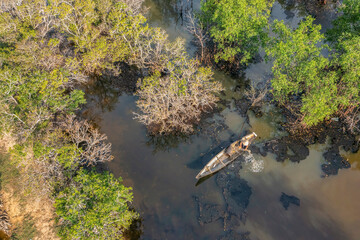 Ru Cha mangroves, Thua Thien Hue, Vietnam