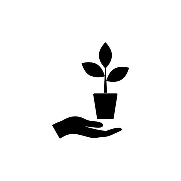 Plant, Sprout In A Hand Icon Isolated On Transparent Background