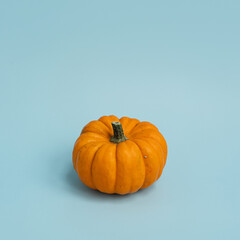 Beautiful decorative pumpkin on light blue background. Autumn fall season concept