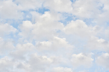 Fototapeta premium 爽快な雲