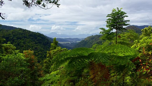 View From Wright's Lookout, Barron Gorge National Park, Australia.
