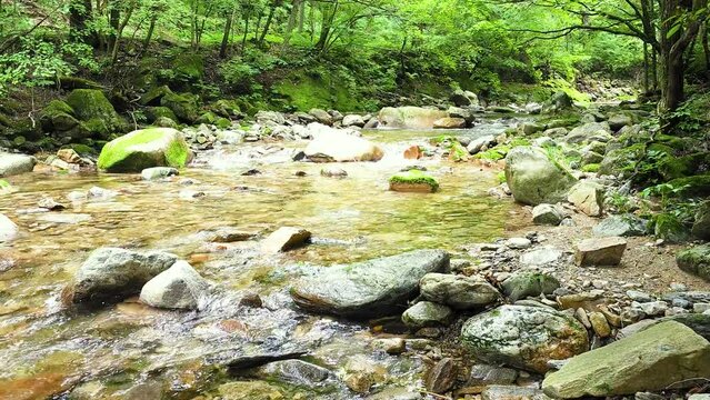 오대산 월정사 선재길 계곡