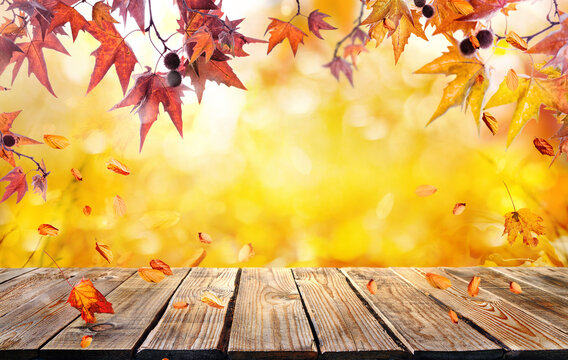 orange fall  leaves and old wooden board, autumn natural background