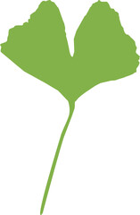 Gingko green leaf icon. A pair of leaves of the gingko tree. Gingko bilboa sign. flat style.