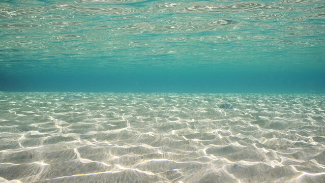 Sandy shallow water in sunburst and glare on seabed sand. Sunlight passes through surface of turquoise water and glares on sandy bottom in shallow water on bright sunny day, Red sea, Egypt