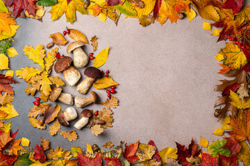 Mushroom harvest and autumn leaves compositions. Mushrooms Boletus, cep on autumnal background....