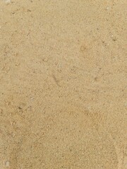 ground cover and texture concrete background