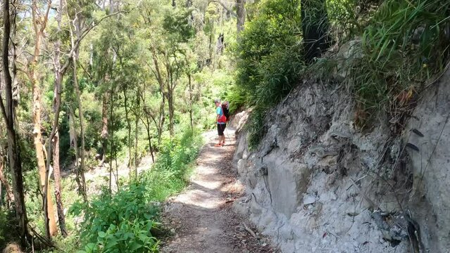 Gold Coast, Queensland, Binna Burra, Lamington National Park, November 10, 2022. Hiking in the Australian outback.